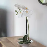 דירה City Apartments Siegburg *