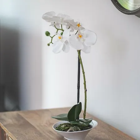 Appartement City Apartments Siegburg *