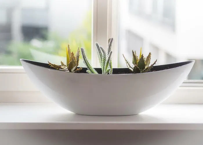 City Apartments Siegburg Lägenhet Siegburg